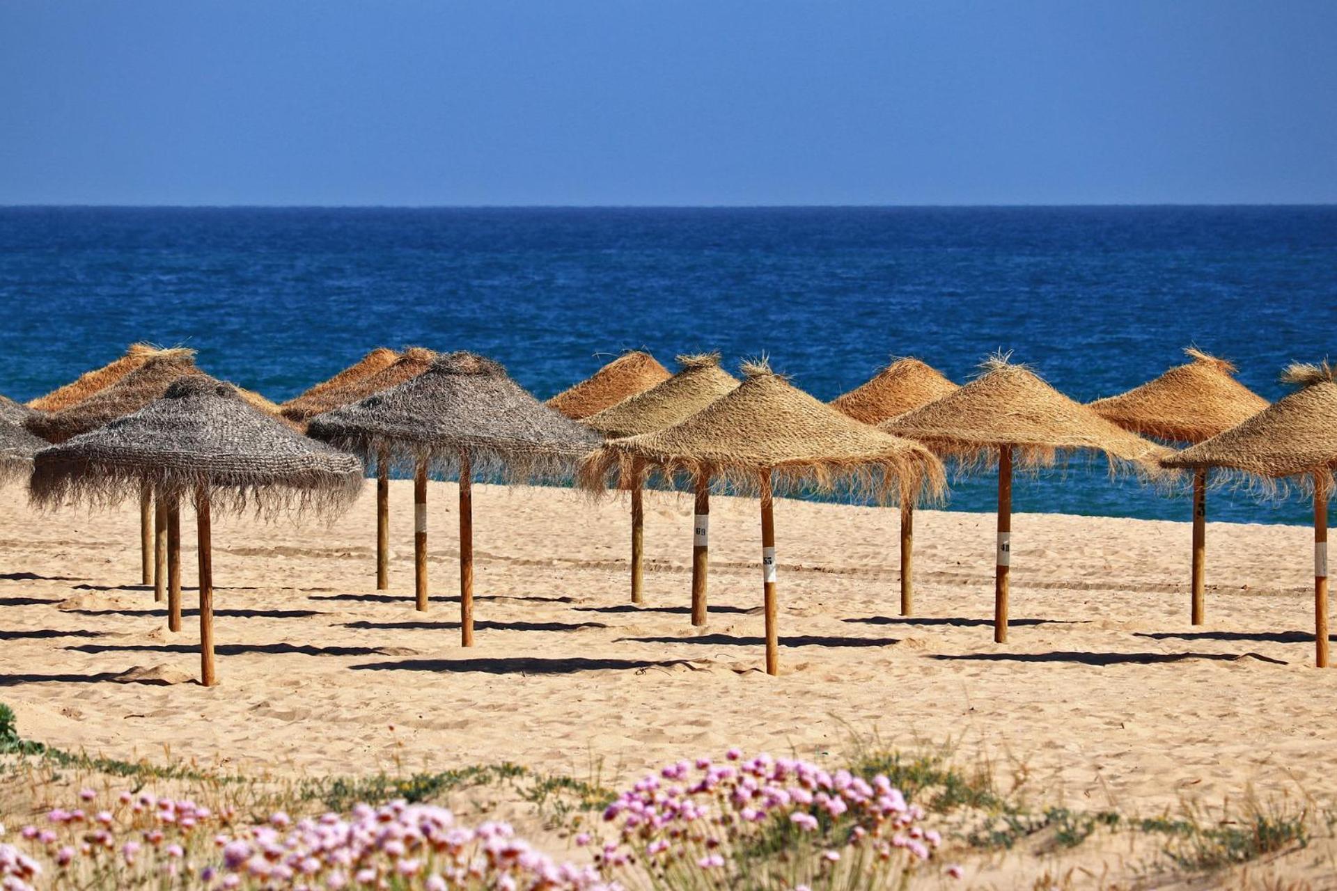 Centralgarve - Stunning Beach Front Studio - Astro Картейра Номер фото